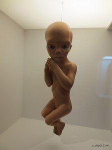 Star Child (Taken at the Kubrick Retrospective at TIFF Lightbox November 2014)